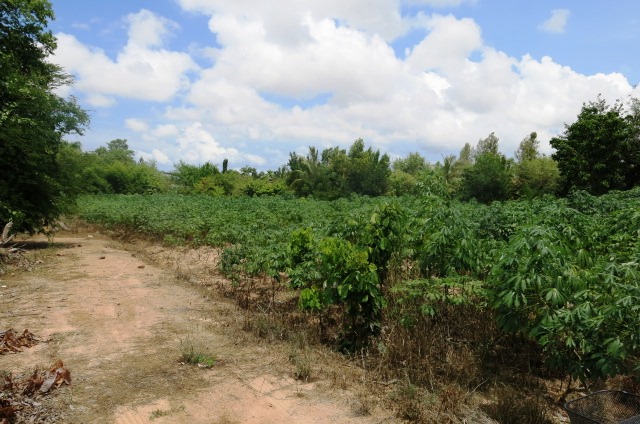  land for sale in east pattaya 